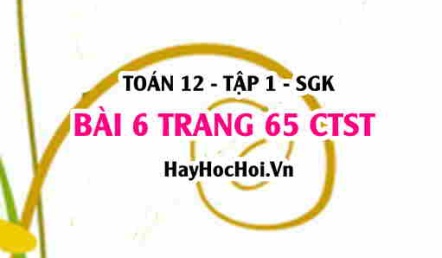 Bài 6 trang 65 Toán 12 tập 1 Chân trời sáng tạo